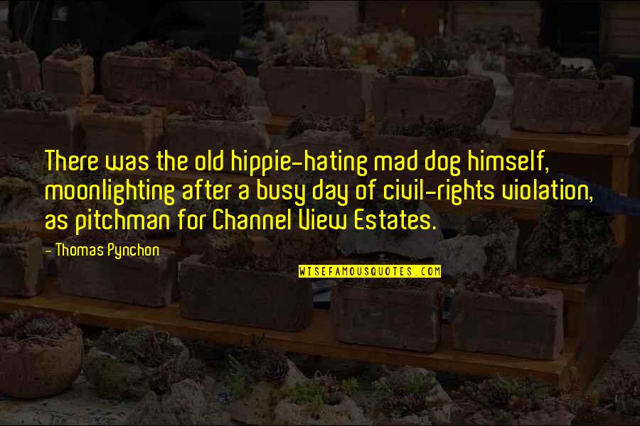 Violation Of Rights Quotes By Thomas Pynchon: There was the old hippie-hating mad dog himself,