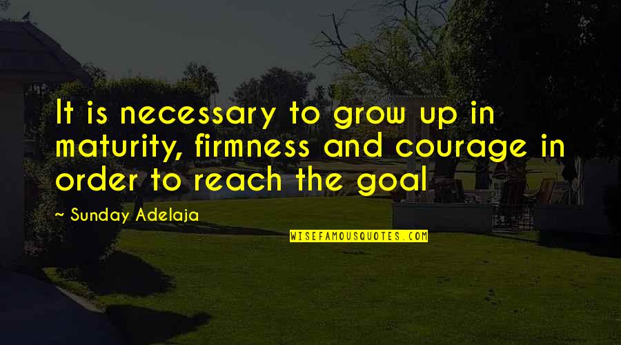 Violent Rap Quotes By Sunday Adelaja: It is necessary to grow up in maturity,