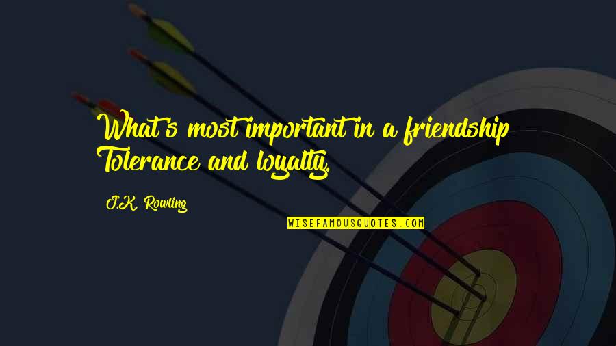Violenta Verbala Quotes By J.K. Rowling: What's most important in a friendship? Tolerance and