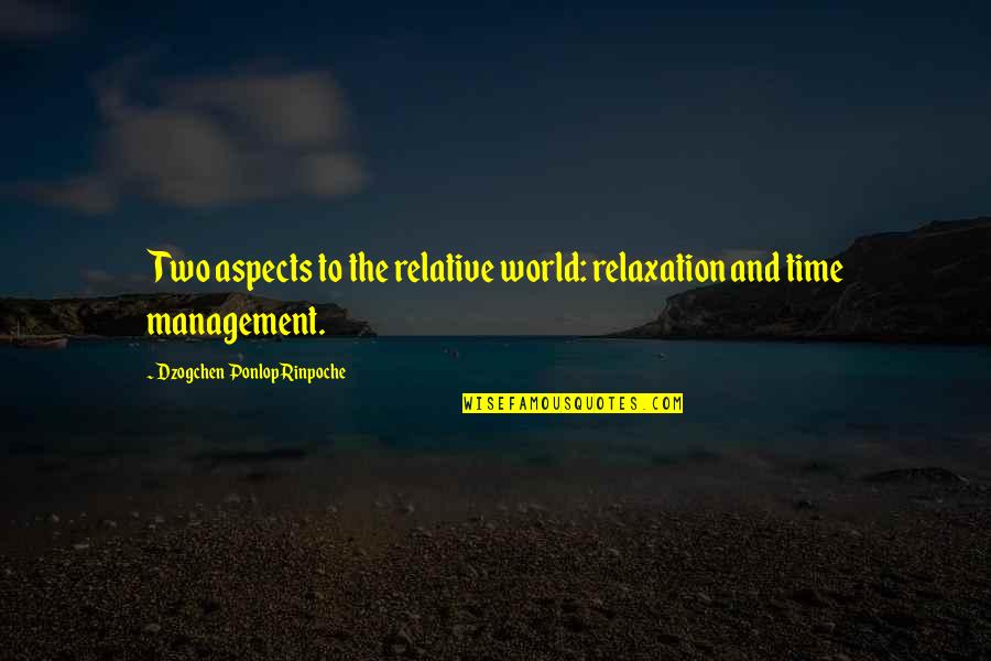 Violet Lasting Quotes By Dzogchen Ponlop Rinpoche: Two aspects to the relative world: relaxation and