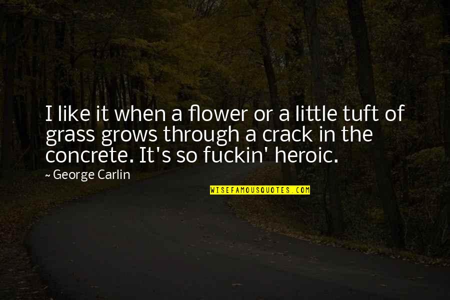 Violet Parker Quotes By George Carlin: I like it when a flower or a Violet Parker Quotes By George Carlin: I like it when a flower or a