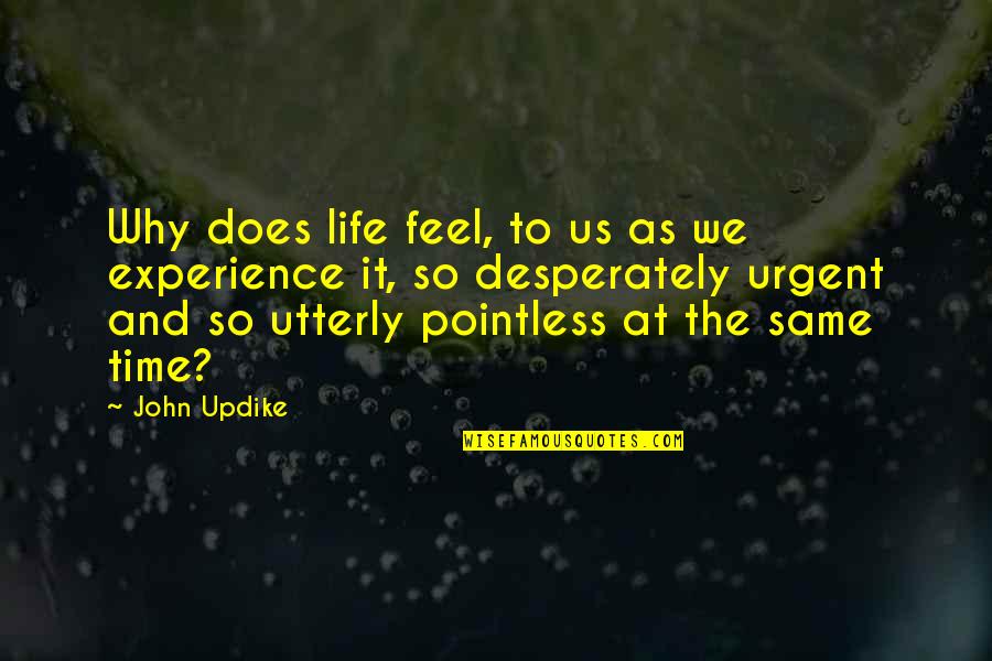Violet Weston Quotes By John Updike: Why does life feel, to us as we
