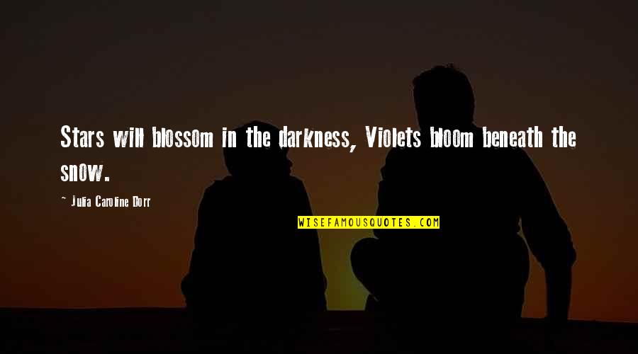 Violets Quotes By Julia Caroline Dorr: Stars will blossom in the darkness, Violets bloom