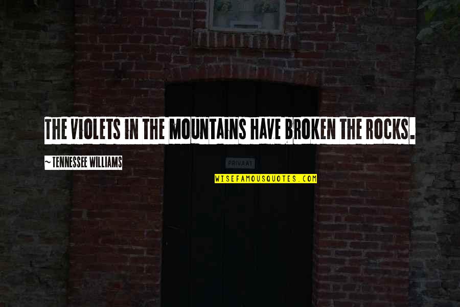 Violets Quotes By Tennessee Williams: The violets in the mountains have broken the