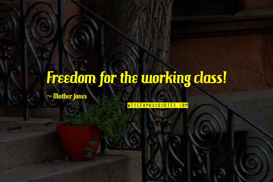 Viorel Iuga Quotes By Mother Jones: Freedom for the working class! Viorel Iuga Quotes By Mother Jones: Freedom for the working class!