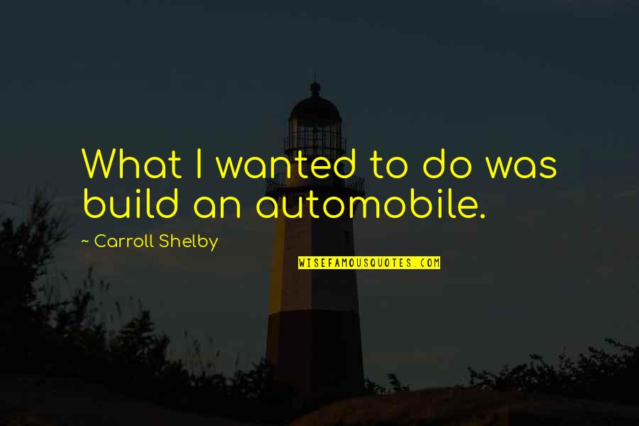 Virekta Quotes By Carroll Shelby: What I wanted to do was build an Virekta Quotes By Carroll Shelby: What I wanted to do was build an