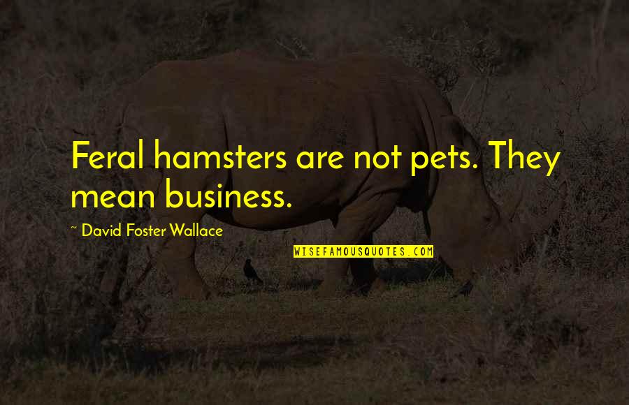 Virender Sehwag By Dhoni Quotes By David Foster Wallace: Feral hamsters are not pets. They mean business. Virender Sehwag By Dhoni Quotes By David Foster Wallace: Feral hamsters are not pets. They mean business.