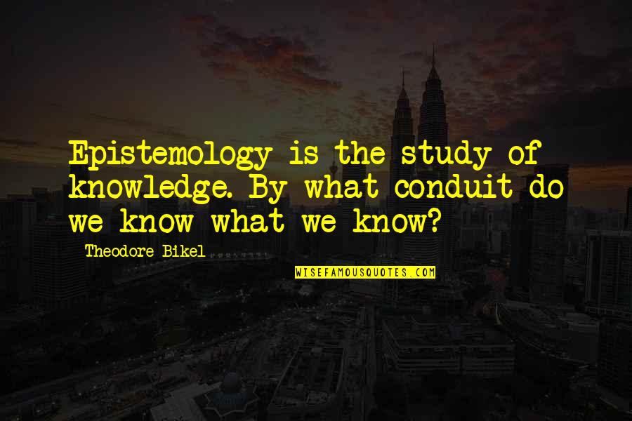 Virgil Divine Comedy Quotes By Theodore Bikel: Epistemology is the study of knowledge. By what