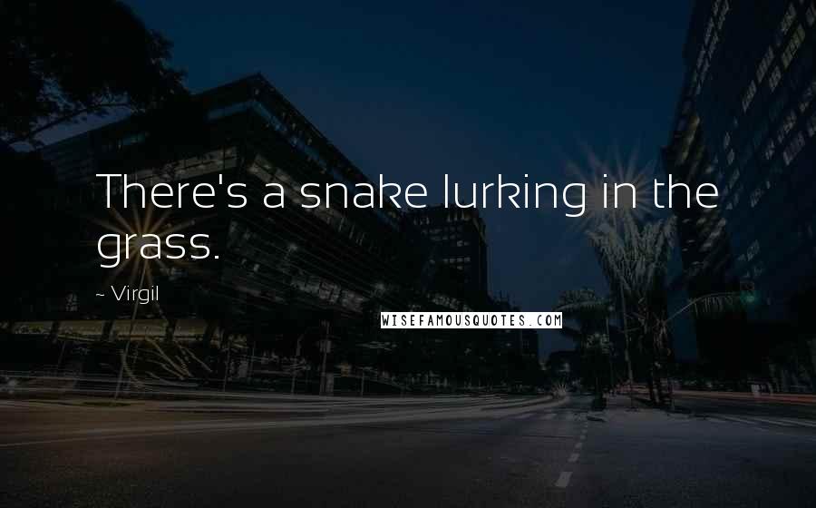 Virgil quotes: There's a snake lurking in the grass.