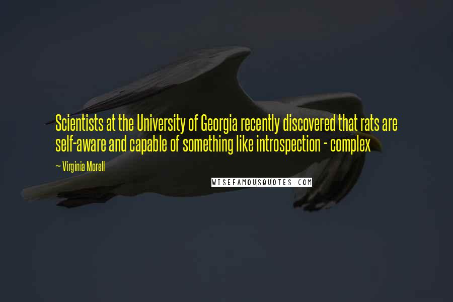 Virginia Morell quotes: Scientists at the University of Georgia recently discovered that rats are self-aware and capable of something like introspection - complex