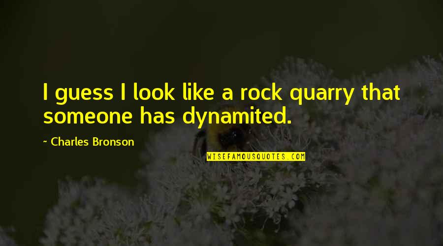 Virgle Brooks Quotes By Charles Bronson: I guess I look like a rock quarry