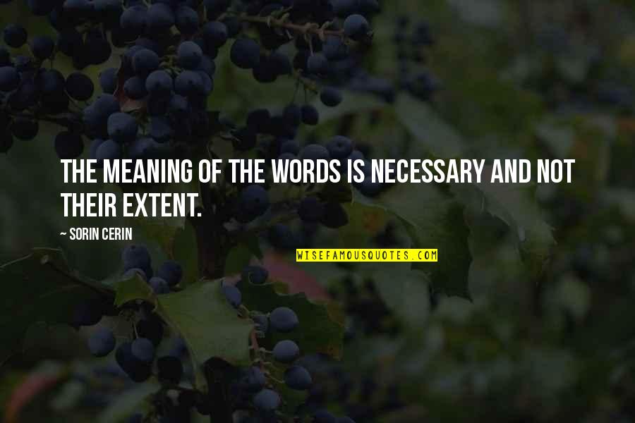 Viribus Quotes By Sorin Cerin: The meaning of the words is necessary and