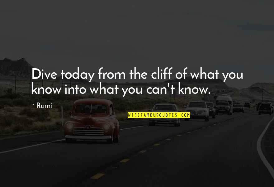 Virilha Escura Quotes By Rumi: Dive today from the cliff of what you