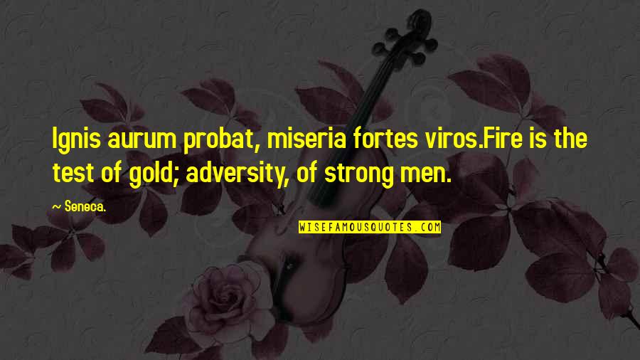 Viros Quotes By Seneca.: Ignis aurum probat, miseria fortes viros.Fire is the