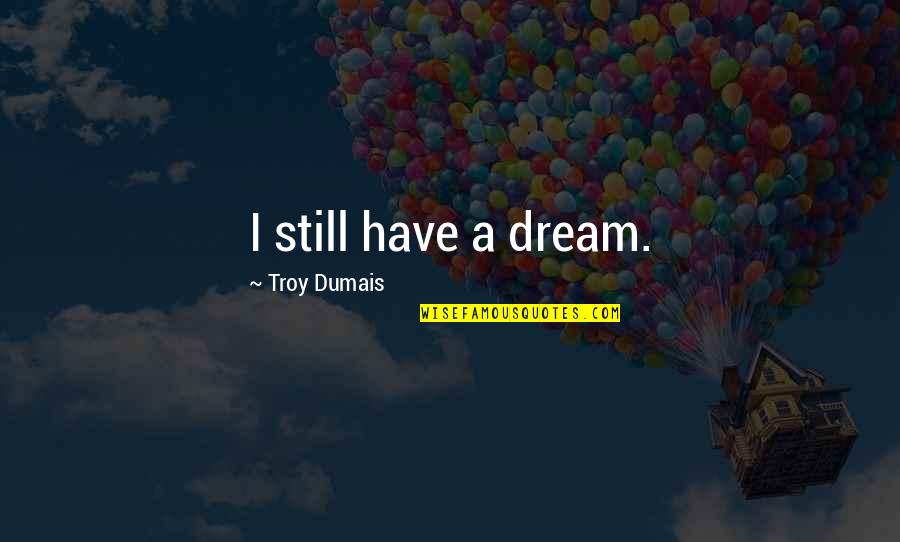 Virtua Fighter 5 Aoi Quotes By Troy Dumais: I still have a dream.