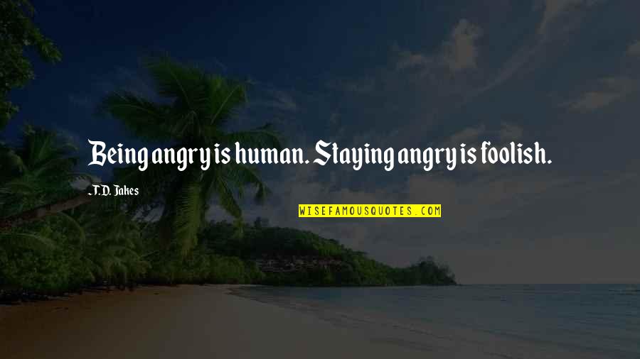 Virtual Realities Properties Quotes By T.D. Jakes: Being angry is human. Staying angry is foolish.