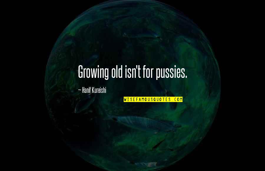 Virtualities Utah Quotes By Hanif Kureishi: Growing old isn't for pussies.