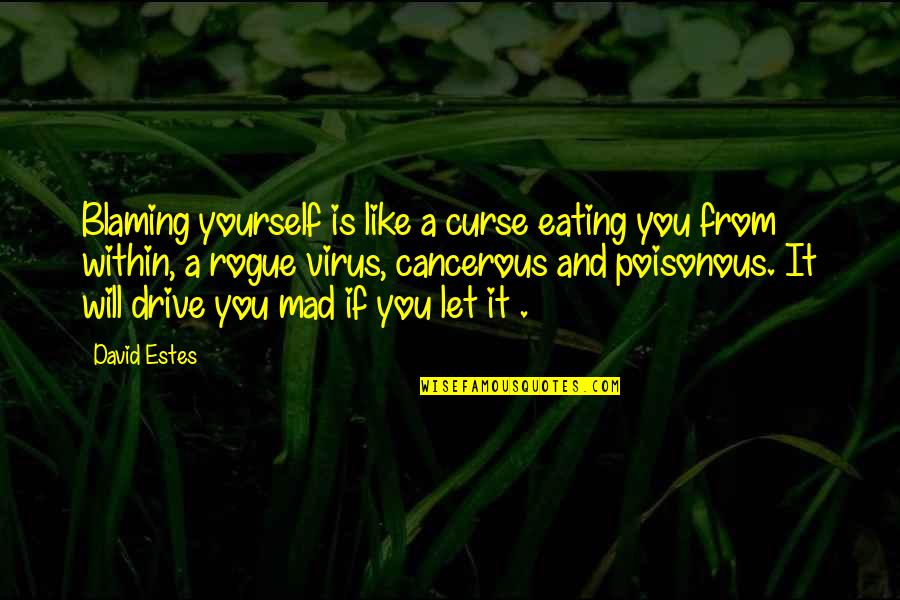 Virus Quotes By David Estes: Blaming yourself is like a curse eating you