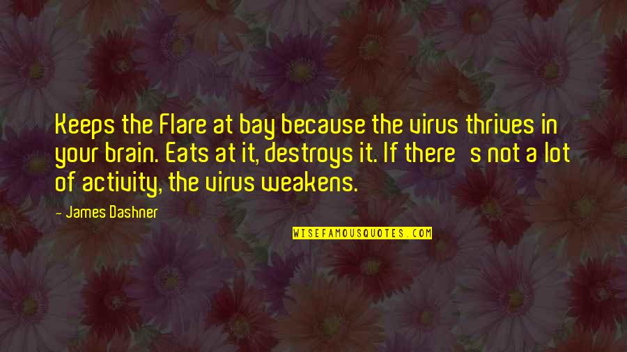 Virus Quotes By James Dashner: Keeps the Flare at bay because the virus