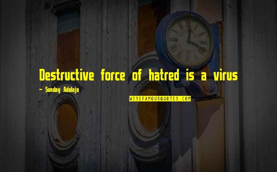 Virus Quotes By Sunday Adelaja: Destructive force of hatred is a virus