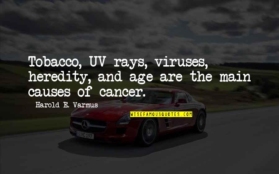 Viruses Quotes By Harold E. Varmus: Tobacco, UV rays, viruses, heredity, and age are
