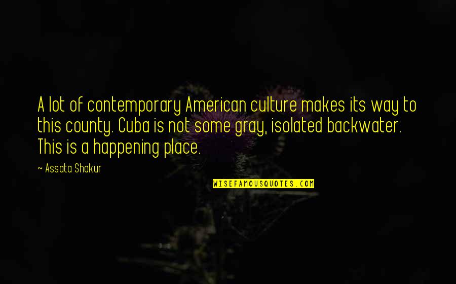 Visanow Quotes By Assata Shakur: A lot of contemporary American culture makes its