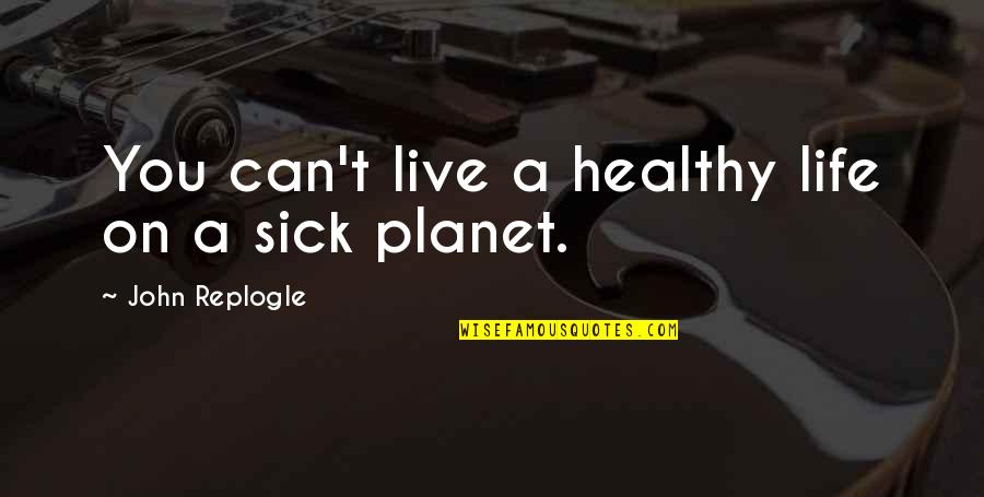 Viscosa Quotes By John Replogle: You can't live a healthy life on a