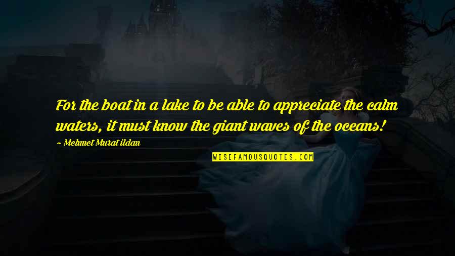 Viscosities Quotes By Mehmet Murat Ildan: For the boat in a lake to be