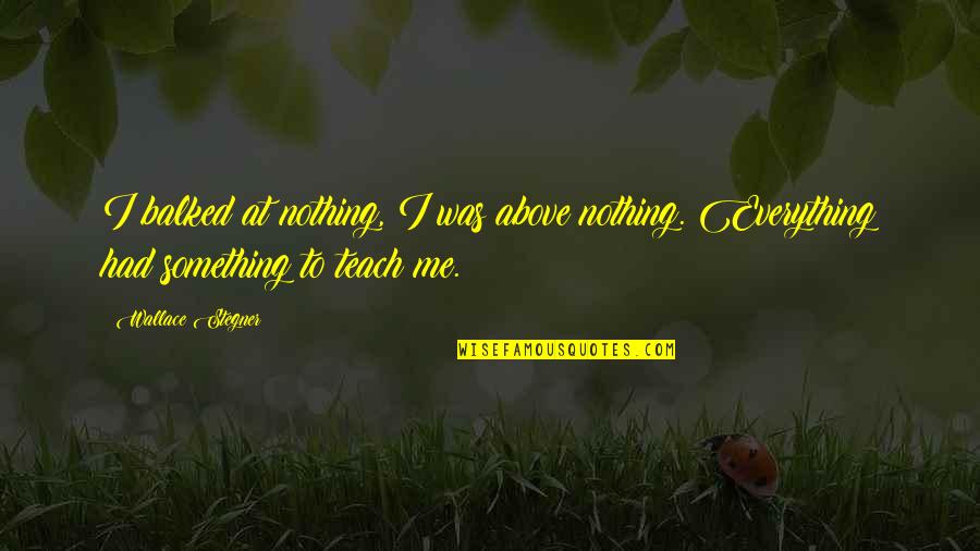 Viseu Senhora Quotes By Wallace Stegner: I balked at nothing, I was above nothing.