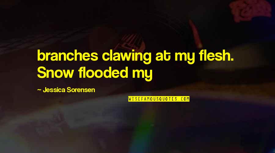Visezi Papuci Quotes By Jessica Sorensen: branches clawing at my flesh. Snow flooded my