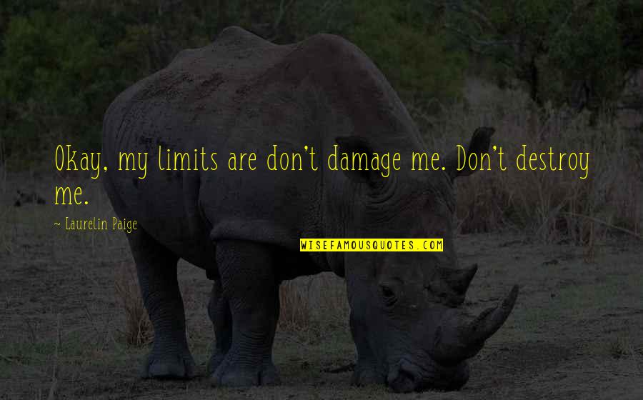 Visgerecht Quotes By Laurelin Paige: Okay, my limits are don't damage me. Don't