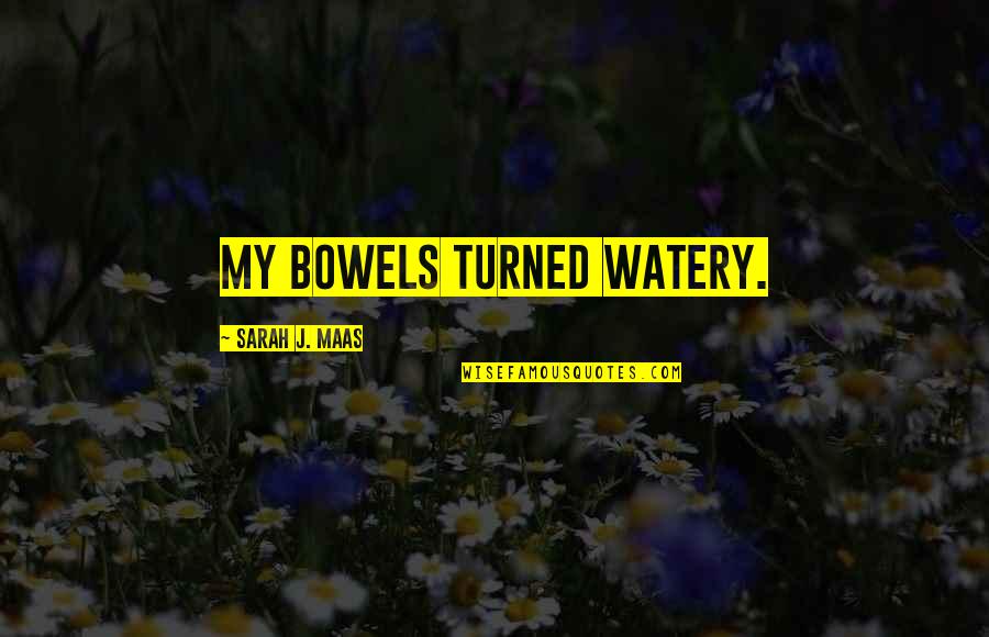 Vishnuvardhan Birthday Quotes By Sarah J. Maas: My bowels turned watery. Vishnuvardhan Birthday Quotes By Sarah J. Maas: My bowels turned watery.