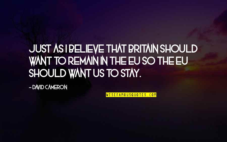 Vishwanathan Quotes By David Cameron: Just as I believe that Britain should want