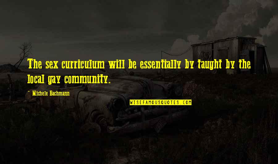 Visintini Bros Quotes By Michele Bachmann: The sex curriculum will be essentially by taught