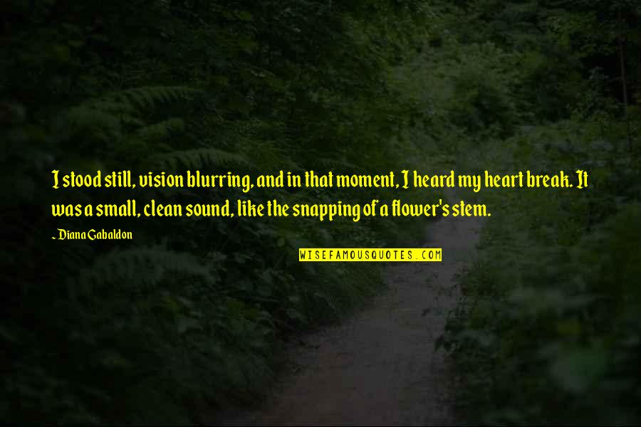 Vision Of The Heart Quotes By Diana Gabaldon: I stood still, vision blurring, and in that