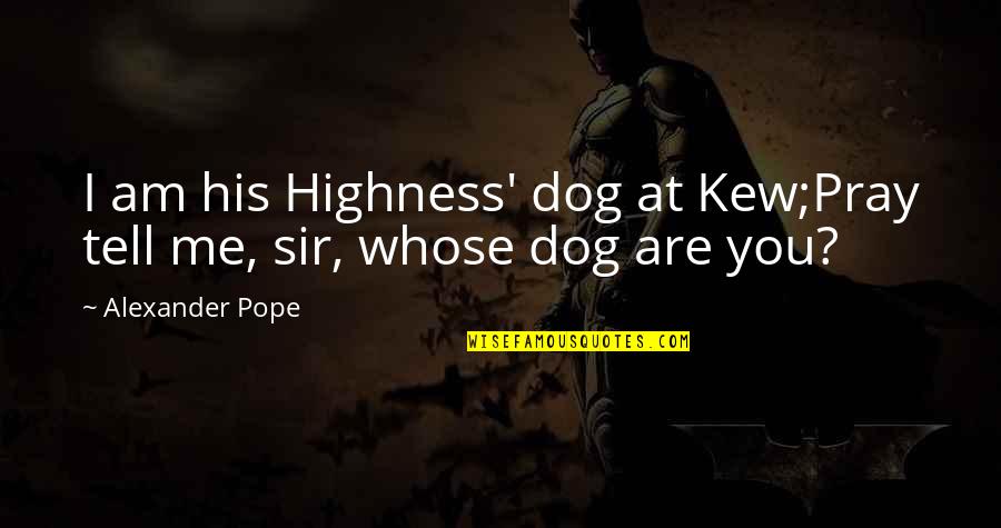 Vision Quote Quotes By Alexander Pope: I am his Highness' dog at Kew;Pray tell