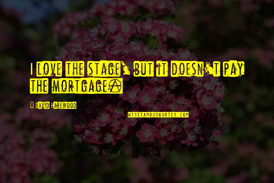 Vision That Judges Quotes By David Harewood: I love the stage, but it doesn't pay Vision That Judges Quotes By David Harewood: I love the stage, but it doesn't pay
