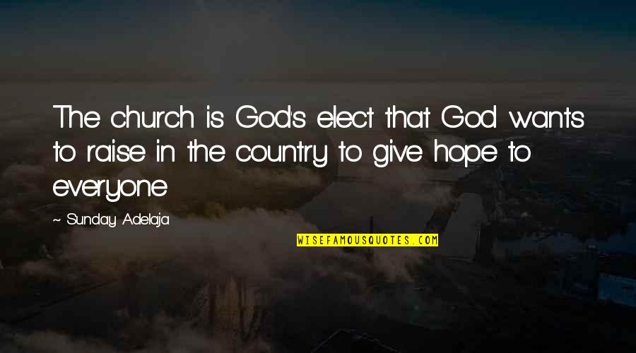 Vision That Judges Quotes By Sunday Adelaja: The church is God's elect that God wants