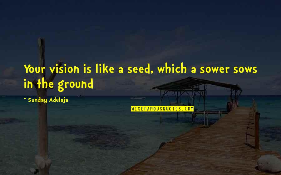 Vision Which Quotes By Sunday Adelaja: Your vision is like a seed, which a