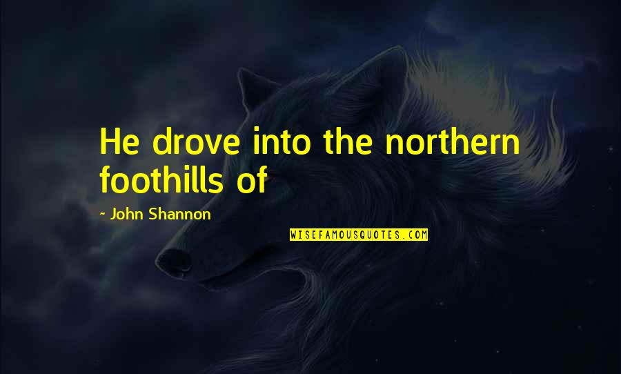 Visions Of Love Quotes By John Shannon: He drove into the northern foothills of