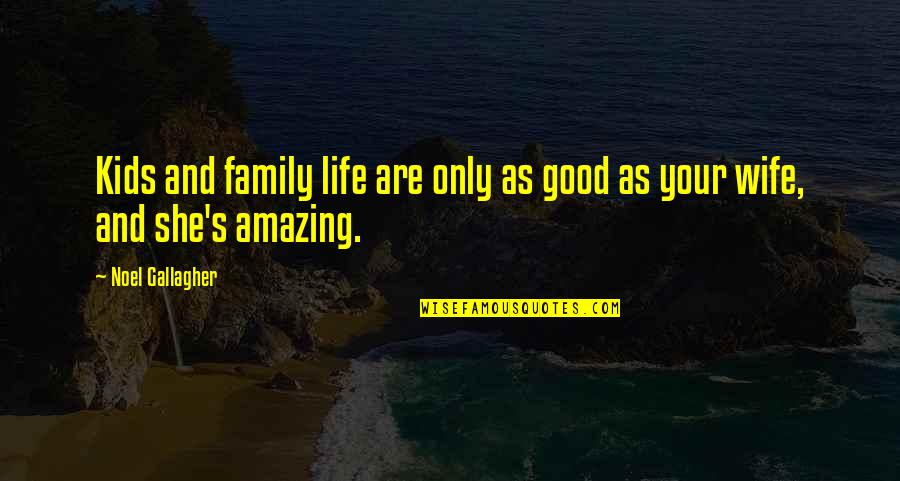 Visit The Sick Quotes By Noel Gallagher: Kids and family life are only as good