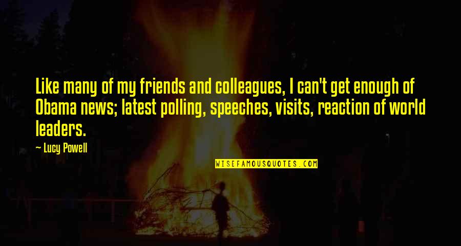Visits From Friends Quotes By Lucy Powell: Like many of my friends and colleagues, I Visits From Friends Quotes By Lucy Powell: Like many of my friends and colleagues, I