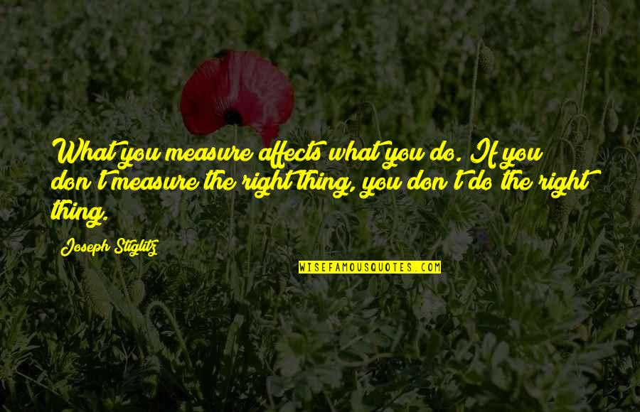 Vislijn Te Quotes By Joseph Stiglitz: What you measure affects what you do. If Vislijn Te Quotes By Joseph Stiglitz: What you measure affects what you do. If