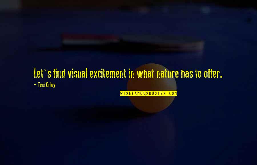 Visuals Quotes By Toni Onley: Let's find visual excitement in what nature has