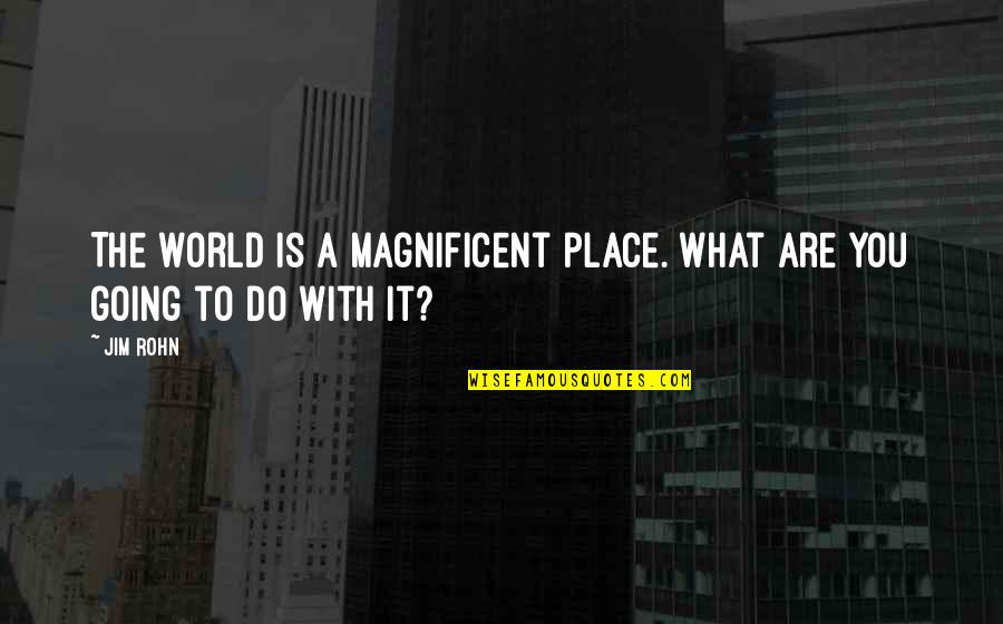 Viszient Quotes By Jim Rohn: The world is a magnificent place. What are
