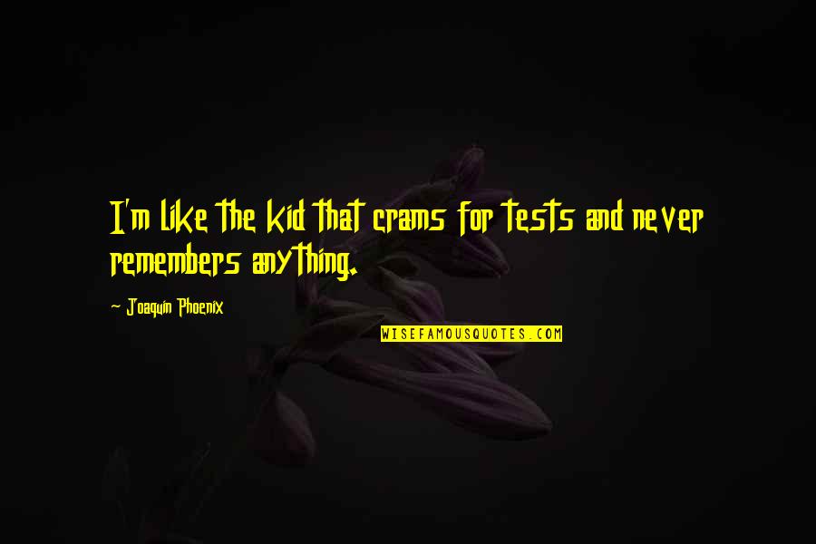 Viszontelad T Quotes By Joaquin Phoenix: I'm like the kid that crams for tests
