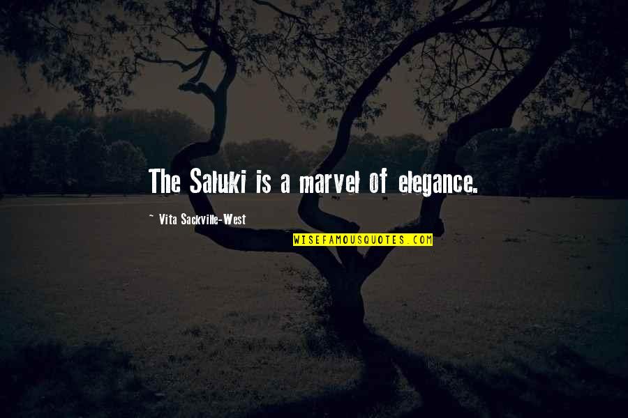 Vita Sackville Quotes By Vita Sackville-West: The Saluki is a marvel of elegance. Vita Sackville Quotes By Vita Sackville-West: The Saluki is a marvel of elegance.