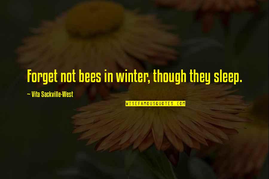 Vita Sackville Quotes By Vita Sackville-West: Forget not bees in winter, though they sleep. Vita Sackville Quotes By Vita Sackville-West: Forget not bees in winter, though they sleep.