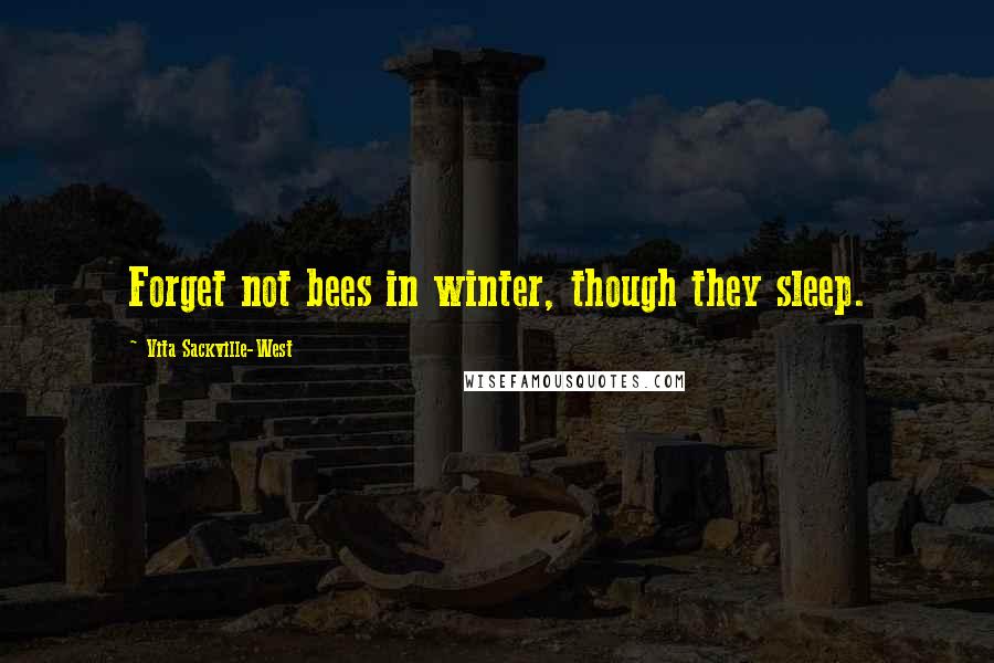 Vita Sackville-West quotes: Forget not bees in winter, though they sleep.