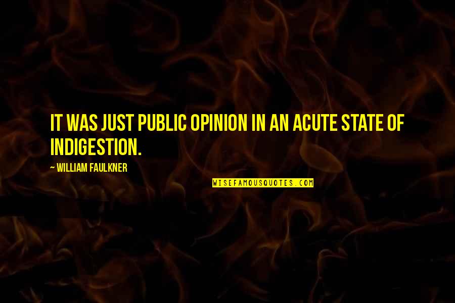 Vitabully Quotes By William Faulkner: It was just public opinion in an acute Vitabully Quotes By William Faulkner: It was just public opinion in an acute